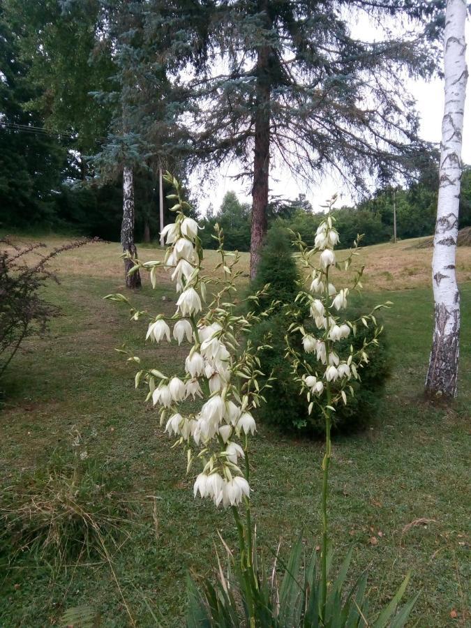 Takovo - Odmor U Selu Villa Gornji Milanovac Eksteriør billede