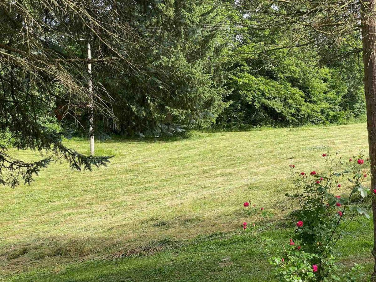 Takovo - Odmor U Selu Villa Gornji Milanovac Eksteriør billede