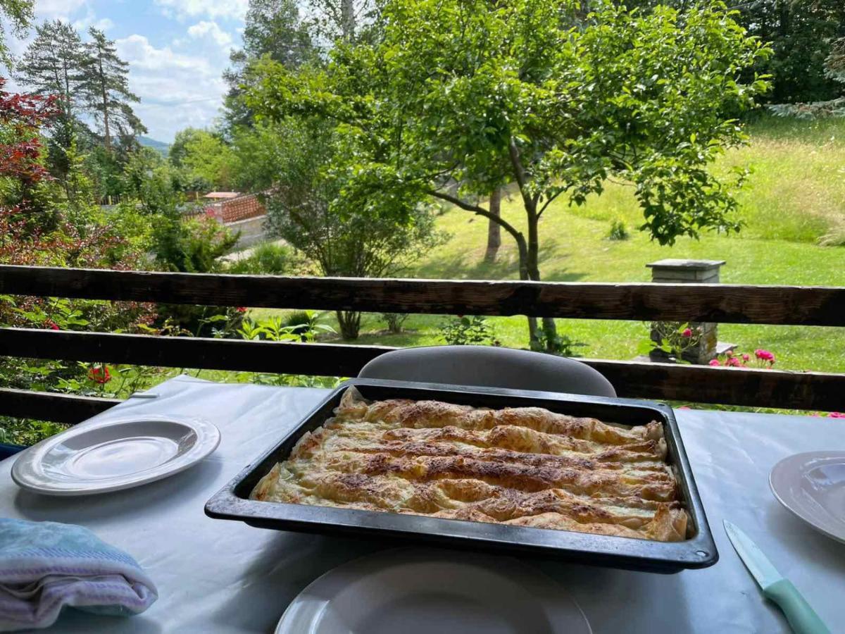 Takovo - Odmor U Selu Villa Gornji Milanovac Eksteriør billede