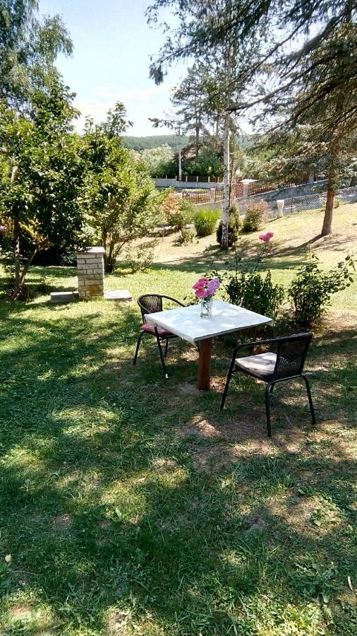 Takovo - Odmor U Selu Villa Gornji Milanovac Eksteriør billede
