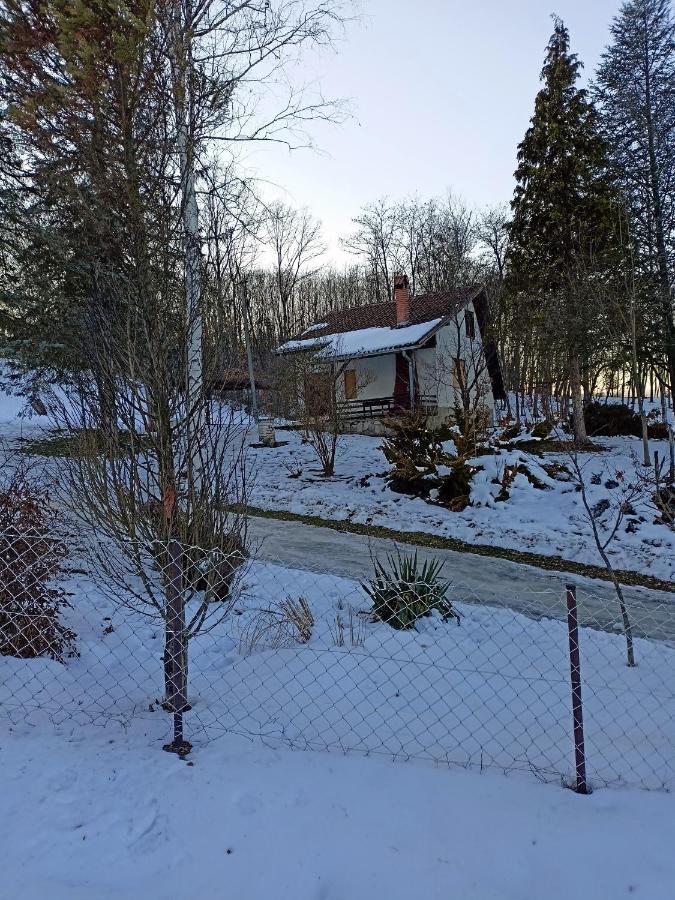 Takovo - Odmor U Selu Villa Gornji Milanovac Eksteriør billede