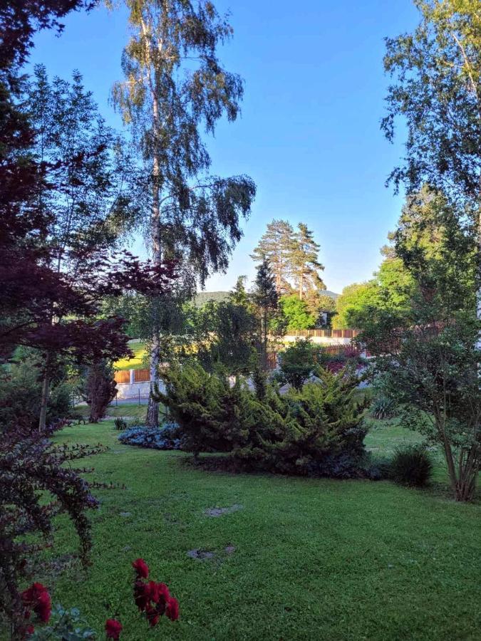 Takovo - Odmor U Selu Villa Gornji Milanovac Eksteriør billede