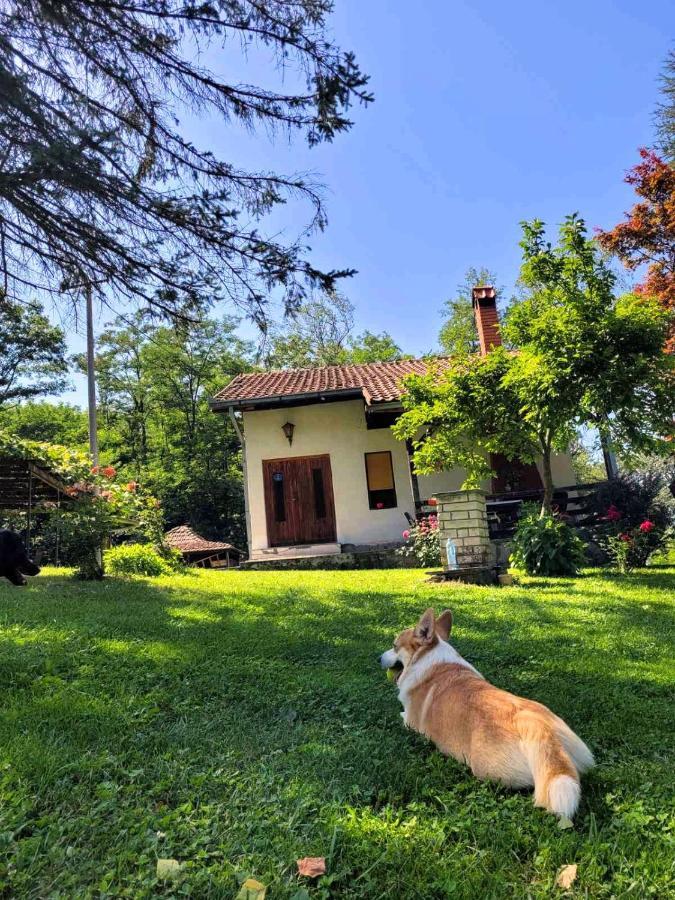 Takovo - Odmor U Selu Villa Gornji Milanovac Eksteriør billede